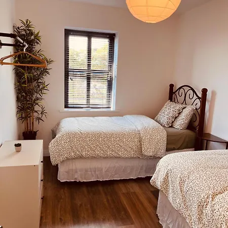 Lavender Lane Country , Furbo Galway