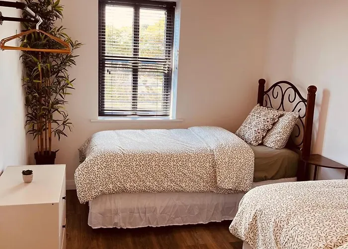 Lavender Lane Country , Furbo Galway